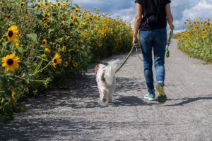 hidradenitis suppurativa activities